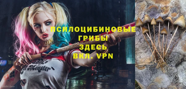 спиды Алексеевка
