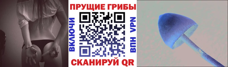 Псилоцибиновые грибы прущие грибы  Невинномысск 