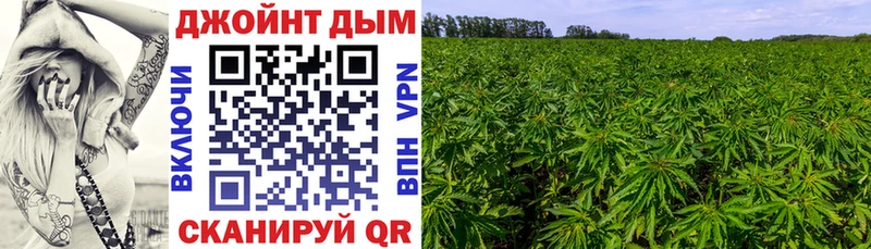 Бошки марихуана конопля  Невинномысск 